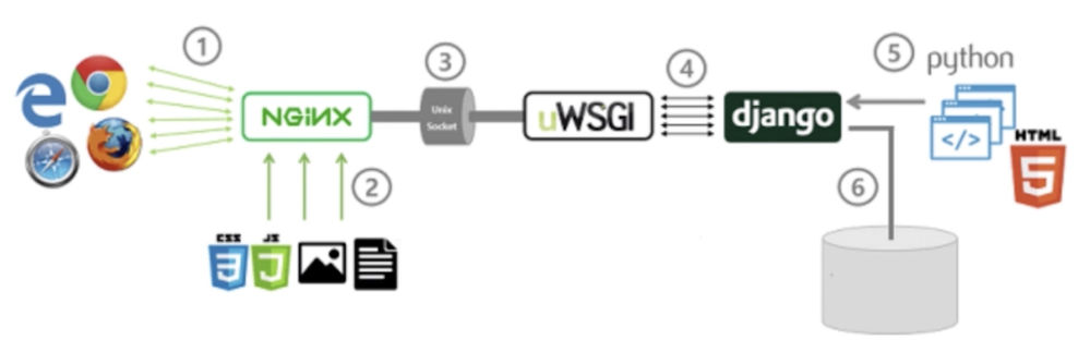 django web