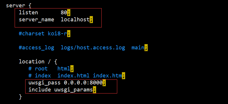 nginx_server